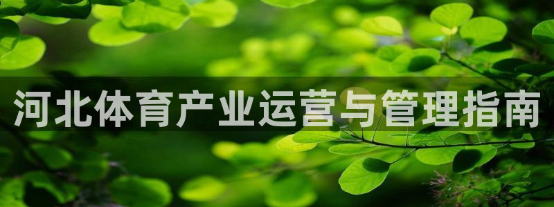 必一运动 b 体育素描版