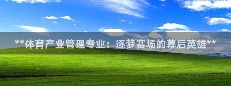 必一体育合法吗：**