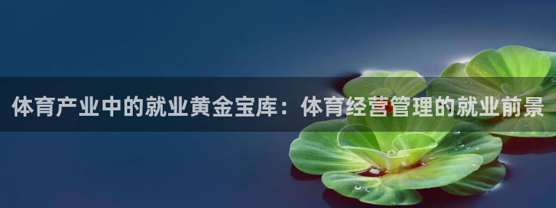 必一运动