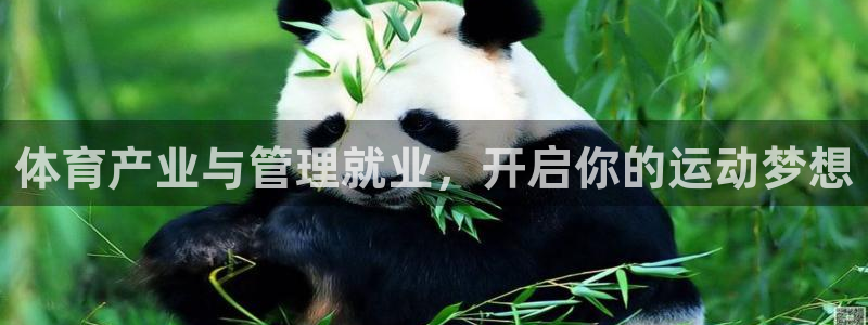 必一体育app下载：