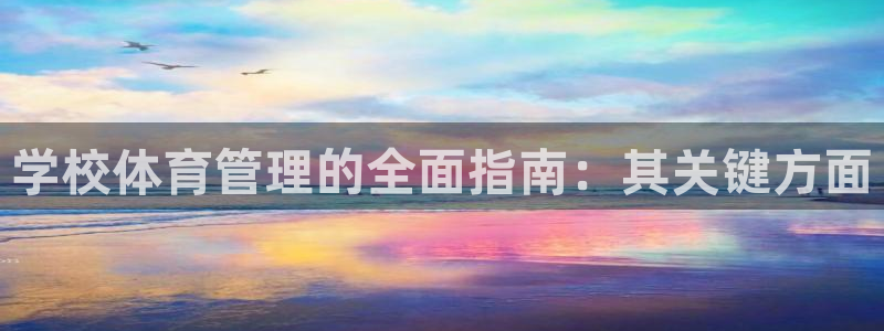 必一体育登录入口：学