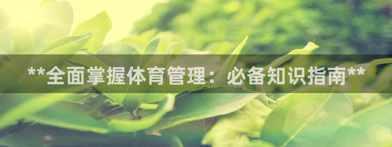 必一体育在线入口