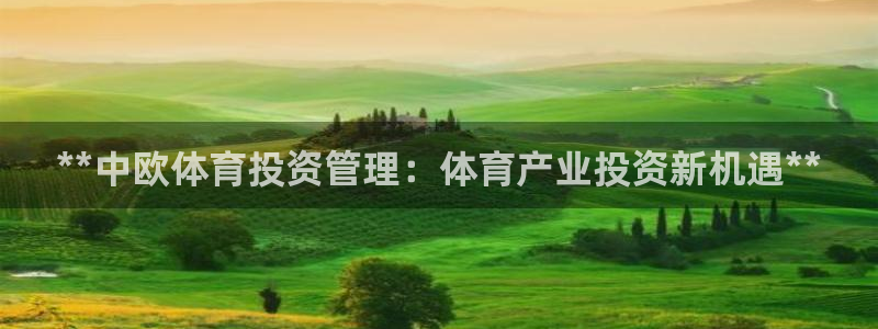 必一体育服下载最新版本更新内容