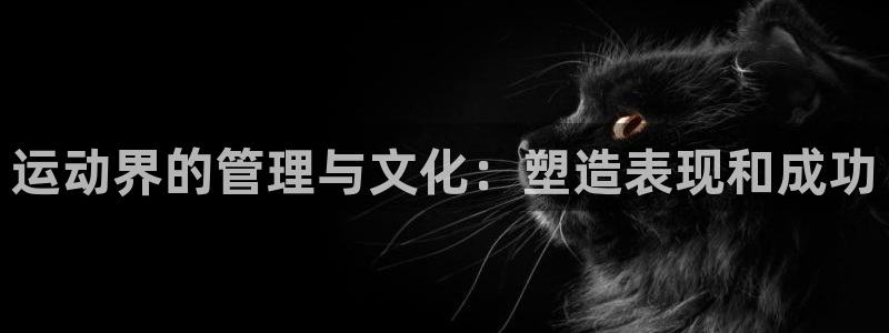必一运动官网平台