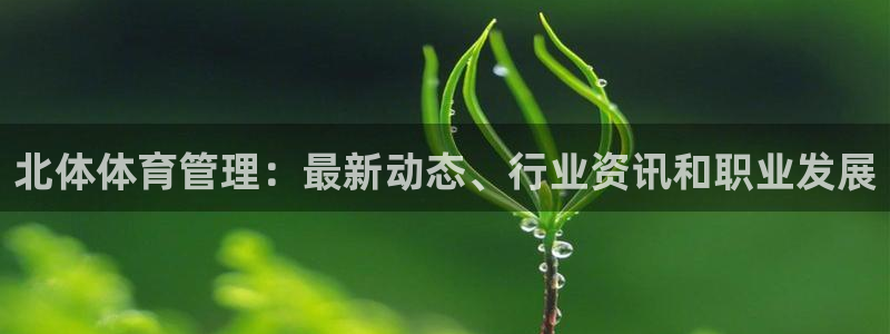 必一体育官方app下载