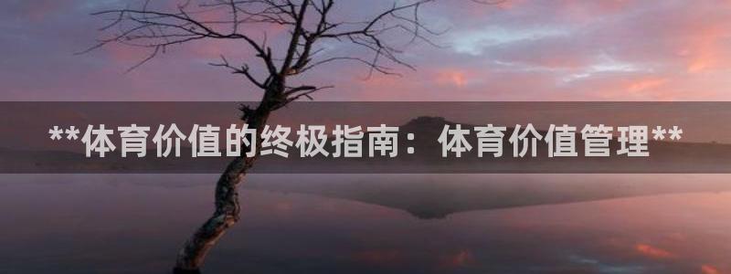 b体育必一运动网页版在线登录入口
