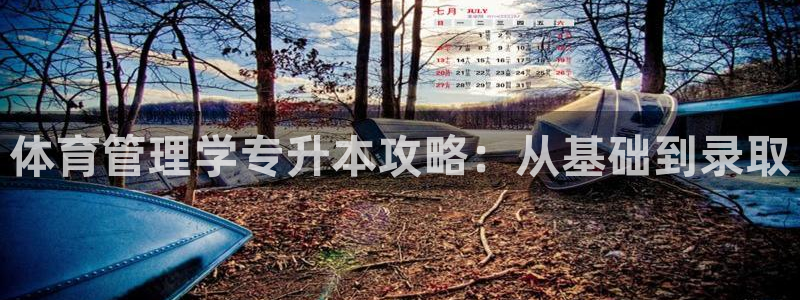 必一体育运动下载：体