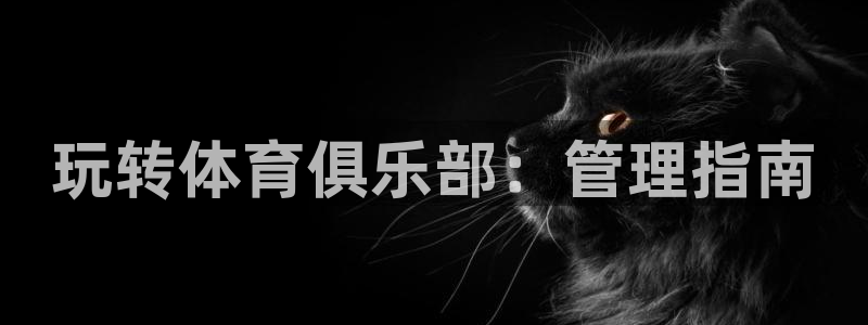 必一体育是啥：玩转体