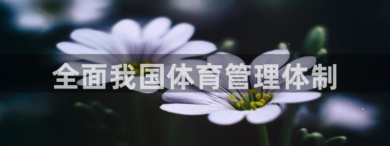 必一体育旧版：全面我
