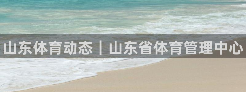 必一体育手机下载