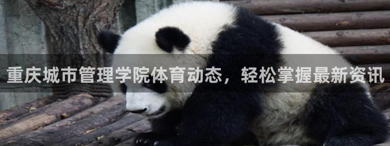 必一体育网址