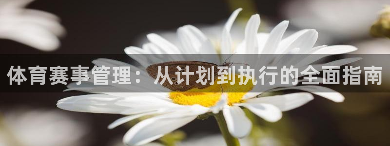 必一体育sport装