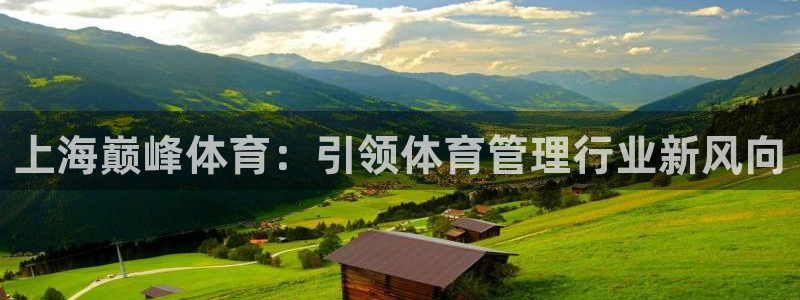 必一运动sport爱查股