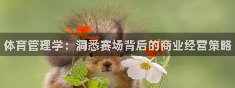 必一运动·(B-Sp