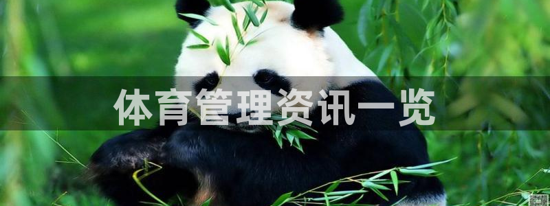 必一体育在线登陆
