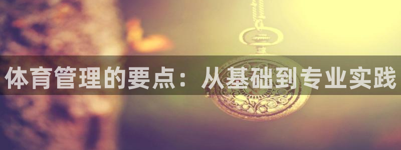 必一体育sportB