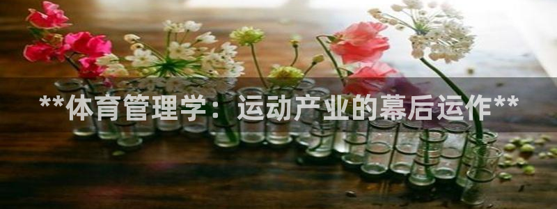 必一体育sport官方网站