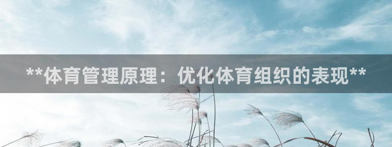 必一体育网页登录版官