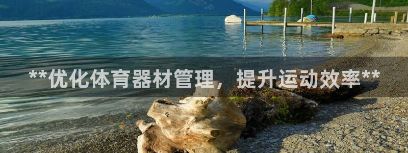 必一体育：**优化体