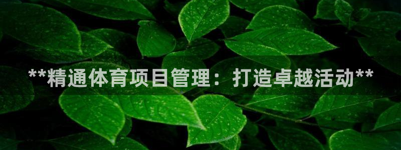 必一体育验证码：**