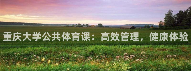 必一体育sport下载