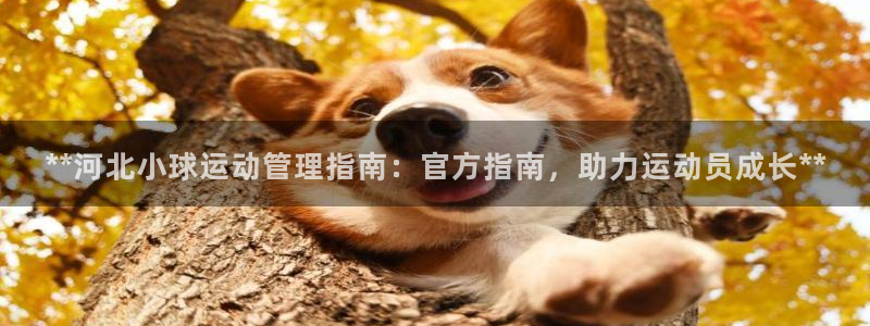 必一运动·(B-Sp