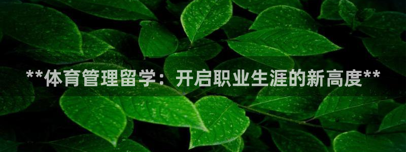 必一体育官网网址：*