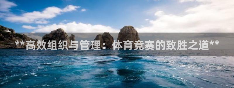 必一体育在线玩