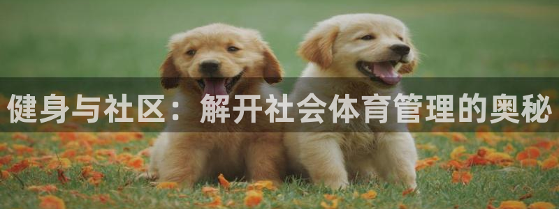 必一体育运动下载：健