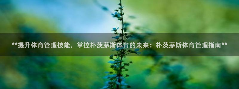 b体育必一下载：**