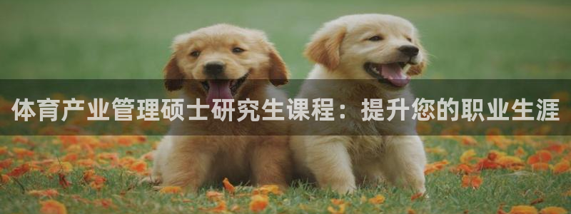 必一体育登入：体育产
