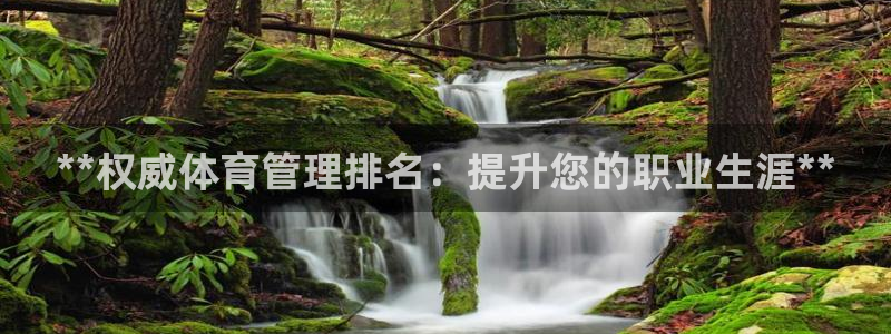 必一体育sport网