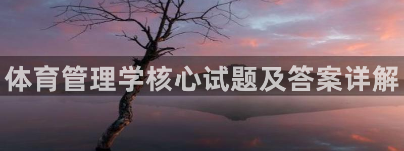 必一体育是哪里的台子