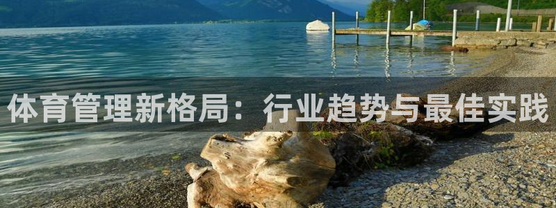 必一体育电子app