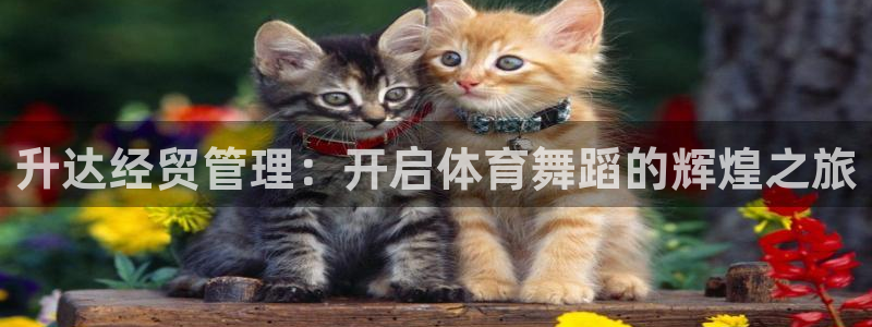必一体育APP