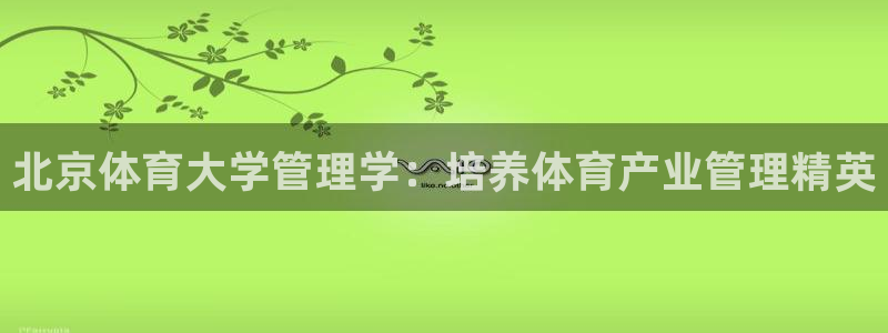 b体育必一下载