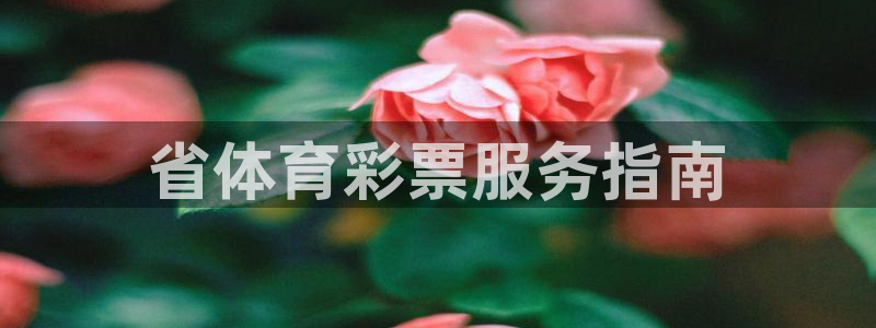 必一体育运动app下载