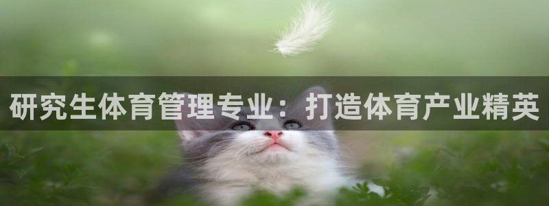 必一体育手机下载