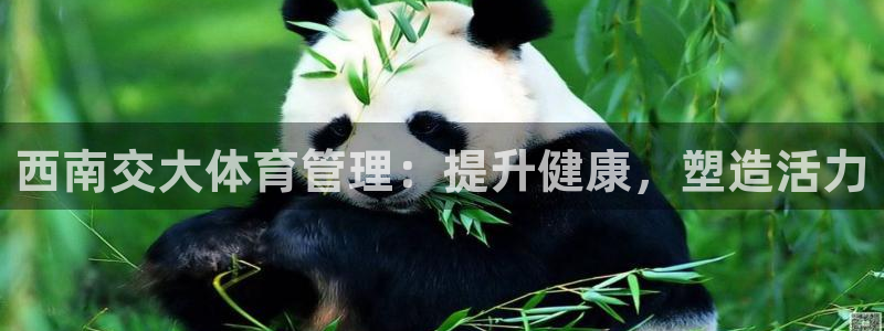 必一体育网页