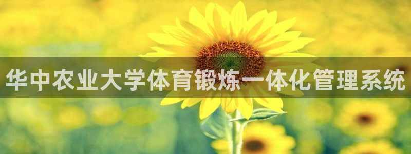 必一体育app官方网站