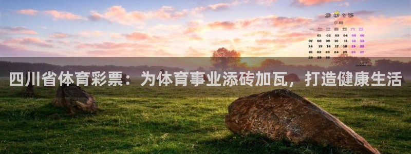 必一体育官方网站入口