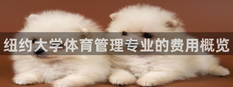必一体育黑平台：纽约