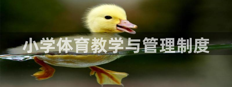 必一体育合法吗
