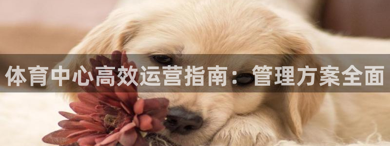 必一体育sport网