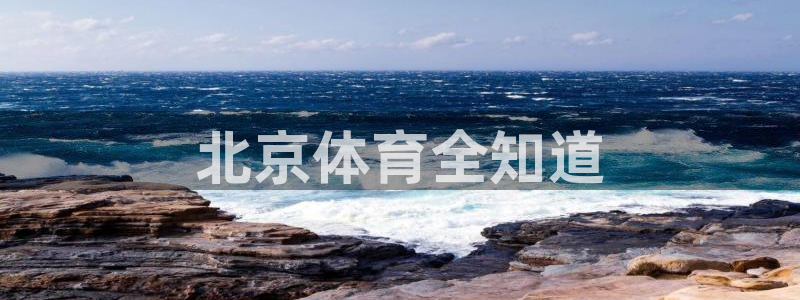 必一体育app官方正版下载