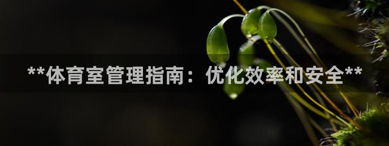 必一体育app官方正