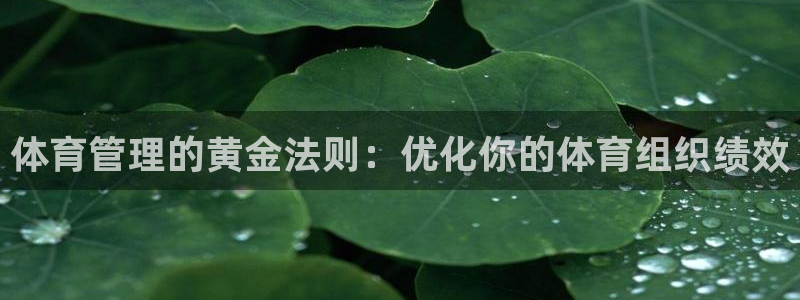 必一体育是哪里的台子