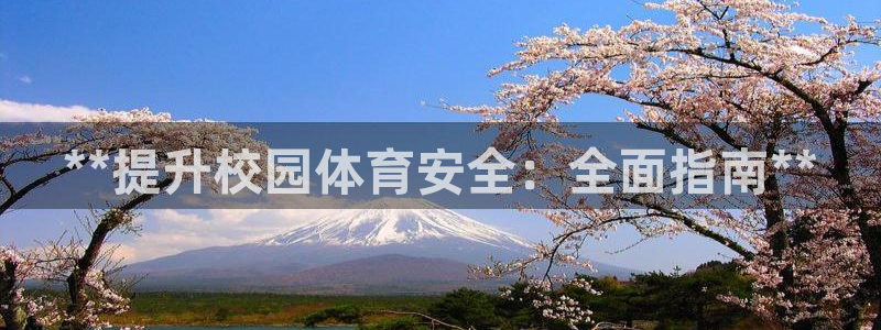 必一体育服下载最新版