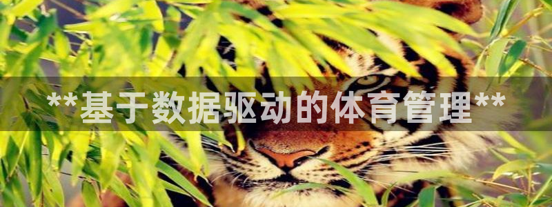 必一体育黑平台：**