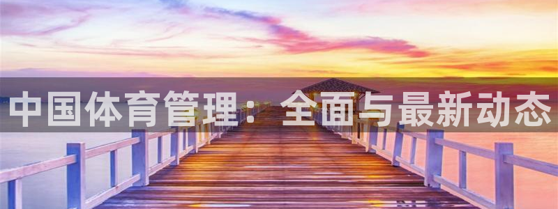 必一体育没了